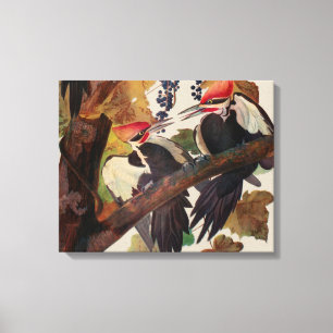 Lienzo Pintado de pájaro carpintero con basculante Audubo