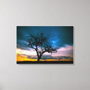 Lienzo Pintado del color del cielo azul de primavera temp