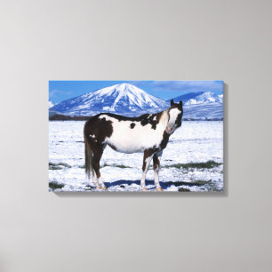 Lienzo Pintando el caballo de pie en la nieve
