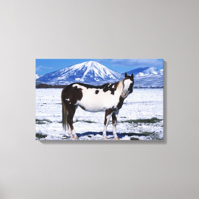 Lienzo Pintando el caballo de pie en la nieve (Anverso)