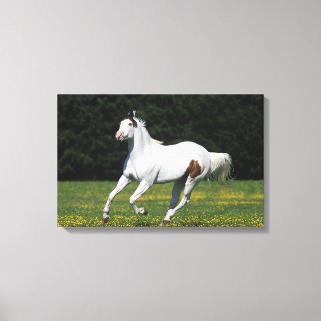 Lienzo Pintar caballos corriendo en campo de hierba (Anverso)