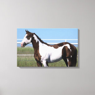 Lienzo Pinte la situación del caballo