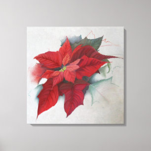Lienzo Pintura al óleo del navidad del Poinsettia
