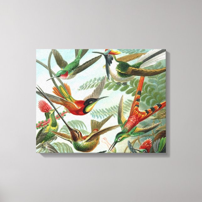 Lienzo pintura clásica de la fauna silvestre de comingbir (Anverso)