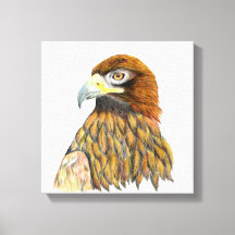 Pintura de acuarela de águila dorada