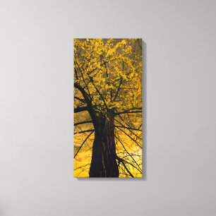 Lienzo Pintura de árbol amarillo otoño