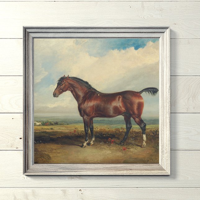 Lienzo Pintura de caballo "Monitor" de James Ward (Subido por el creador)