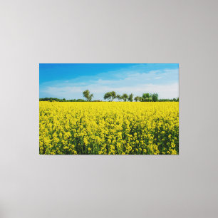 Lienzo Pintura de campo de flores amarillas