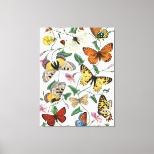 Lienzo Pintura de mariposa y polilla vintage
