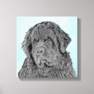 Lienzo Pintura de Newfoundland - Cute original Dog Art