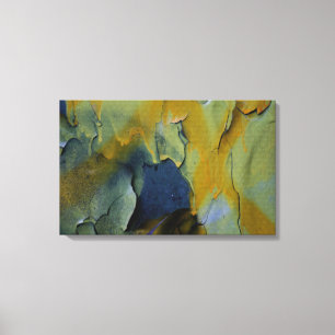 Lienzo Pintura de pelado