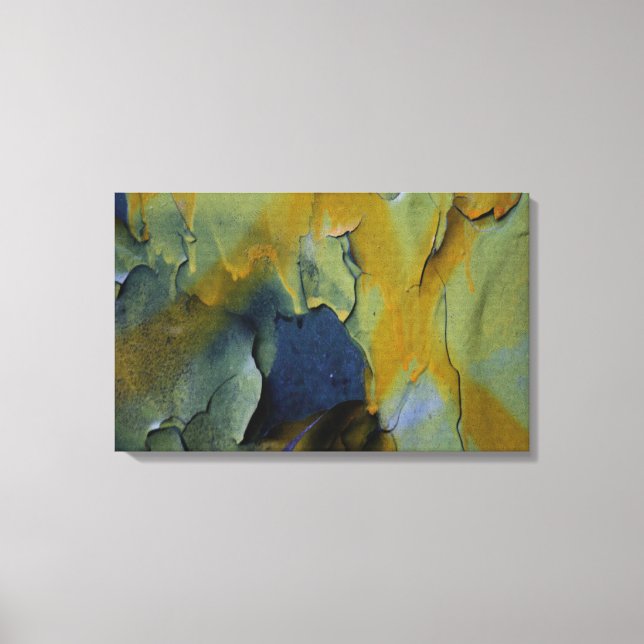 Lienzo Pintura de pelado (Anverso)