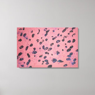 Lienzo Pintura de perdón