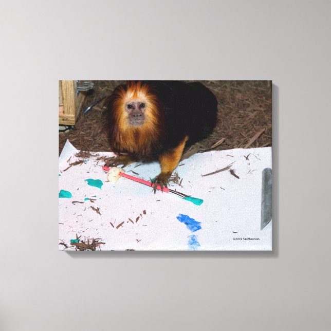 Lienzo Pintura de Tamarin, León con Cabecera Dorada (Anverso)