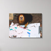 Pintura de Tamarin, León con Cabecera Dorada