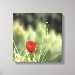 Lienzo Pintura de una amapola artística con flores silves