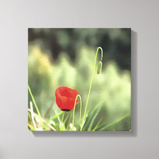 Lienzo Pintura de una amapola artística con flores silves