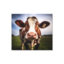 Pintura digital de fotorrealismo de vacas locas