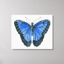 pintura en acuarela de mariposa Morpho azul