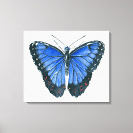 Lienzo pintura en acuarela de mariposa Morpho azul