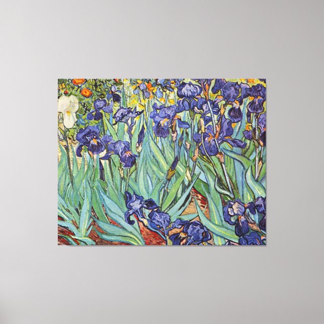 Lienzo Pintura impresionista de Van Gogh Irises (Anverso)