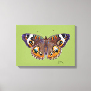Lienzo Pintura realista de la mariposa azul común Buckeye