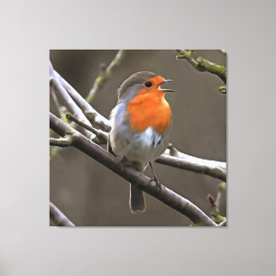 Lienzo Pintura roja y gris de Robin europeo