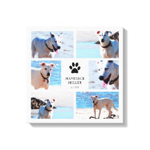 Pinturas - Collage de fotos de perro