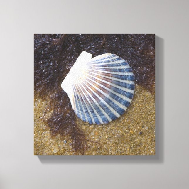 Lienzo Piscina de marea (Anverso)