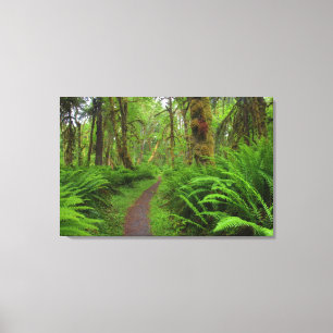 Lienzo Pista de pasto, helechos y musgos