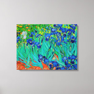 Lienzo PixDezines van gogh irises/st. remy