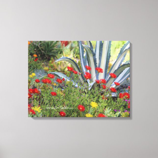 Lienzo Planta de agave y hielo a rayas (Anverso)