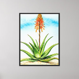 Lienzo planta de aloe vera