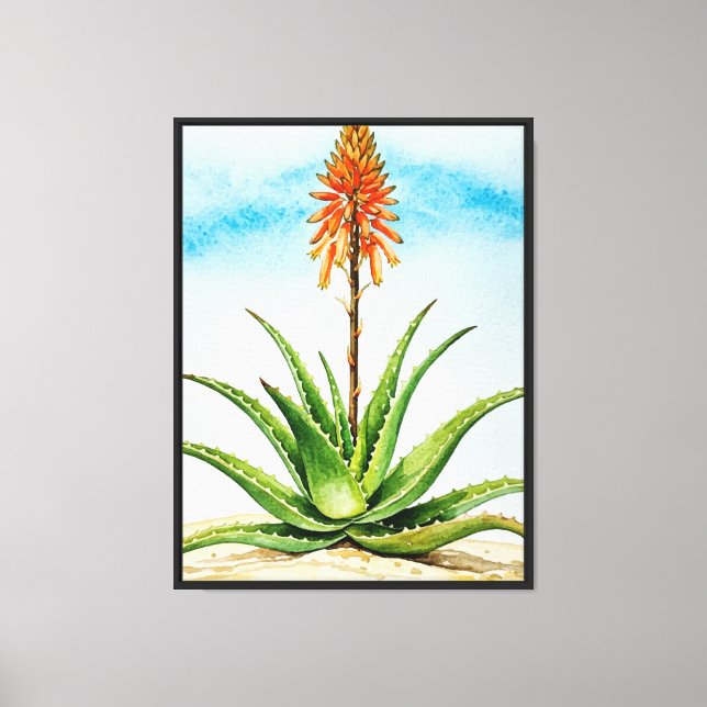 Lienzo planta de aloe vera (Anverso)