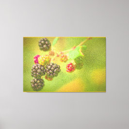 Lienzo "Planta de frutas de Blackberries" Foto Cute. ¡Haz