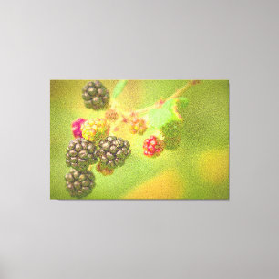 Lienzo "Planta de frutas de Blackberries" Foto Cute. ¡Haz