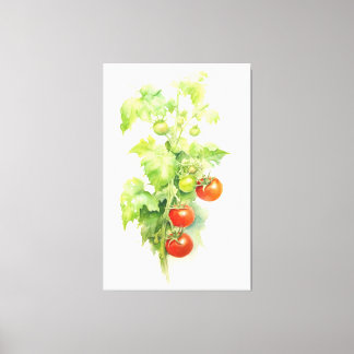 Lienzo Planta de tomate acuático Serenade