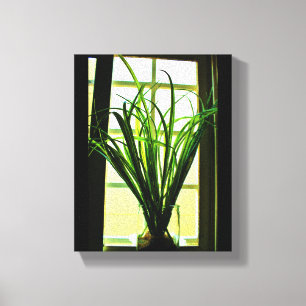 Lienzo Planta de ventanas