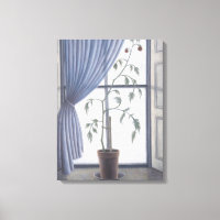Planta en Windows 2003