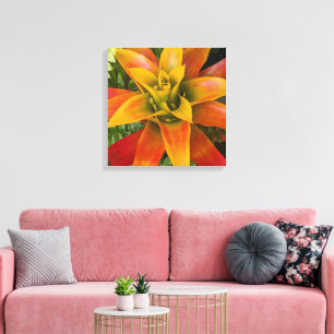 Lienzo Planta Floral de Bromelia Guzmania