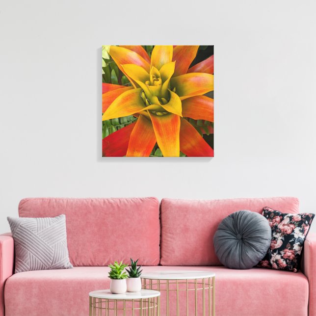 Lienzo Planta Floral de Bromelia Guzmania (Insitu (Sala de estar))