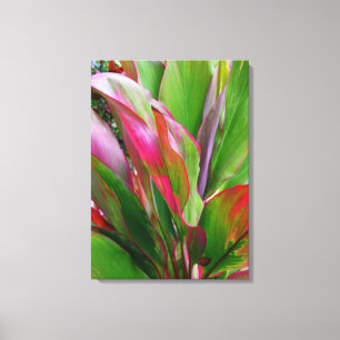 Lienzo Planta hawaiana del Ti