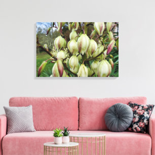 Lienzo Planta Yucca