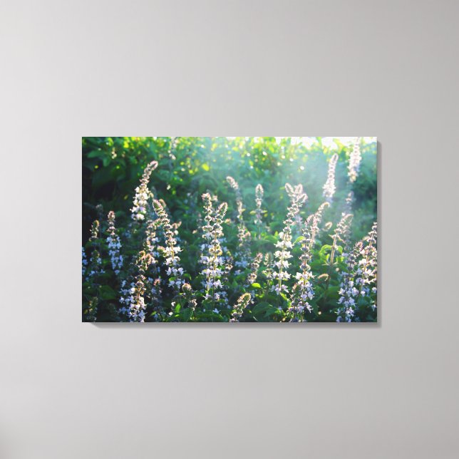 Lienzo plantas (Anverso)