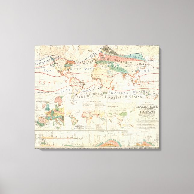 Lienzo Plantas de distribución (Anverso)