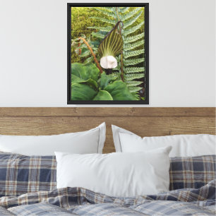 Lienzo Plantas de Woodland Fotografía botánica