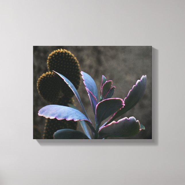 Lienzo Plantas del desierto (Anverso)