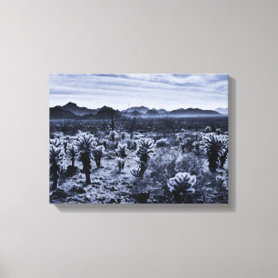 Lienzo Plantas del desierto de Teddy Bear Cholla Cactus