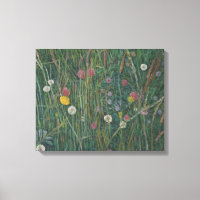 Plantas del Machair 2008