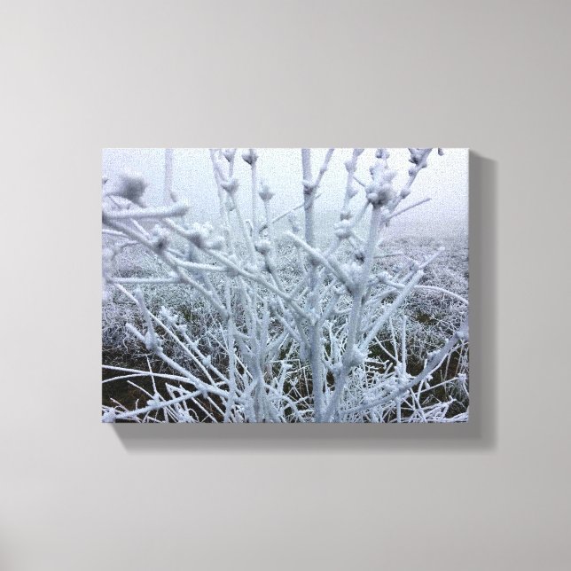 Lienzo Plantas Heladas Paisaje Invernal (Anverso)